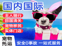 西昌青山航空空运国际宠物托运 【国